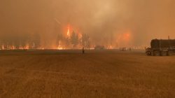 bombeiro-do-parana-combate-incendio-no-canada