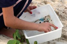 garopaba-tera-mutirao-no-dia-mundial-de-limpeza-de-praias-e-rios 