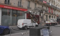 dinossauro-jurassico-e-exibido-nas-ruas-de-paris