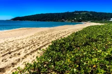 sc-lidera-ranking-brasileiro-de-praias-certificadas-pela-bandeira-azul;-veja-lista