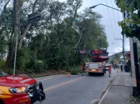 turista-dos-eua-fica-preso-em-arvore-durante-voo-de-parapente-em sc