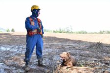 emergencia-meteorologica:-saiba-quando-acionar-bombeiros-ou-defesa-civil