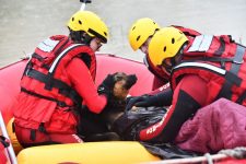 bombeiros-resgatam-homem-com-hipotermia-e-o-cao-dele-em-sc