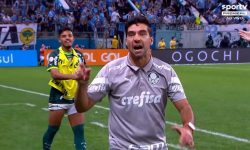 tecnico-do-palmeiras-e-suspenso-apos-declaracoes-em-jogo-contra-o-gremio