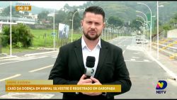 gripe-aviaria:-caso-da-doenca-em-animal-silvestre-e-registrado-em-garopaba