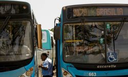 mulheres-vitimas-de-violencia-terao-transporte-gratuito-no-df