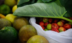 registro-de-novos-agrotoxicos-segue-em-alta-no-brasil,-diz-mapa