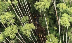 sp:-policias-trabalham-para-abrir-caminho-ate-destrocos-de-helicoptero