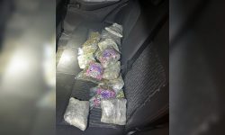 sc:-motorista-e-preso-com-‘supermaconha’-no-litoral-norte