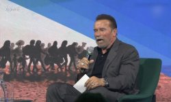 arnold-schwarzenegger-e-preso-na-alemanha