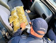 jovem-tenta-fugir-da-prf,-mas-e-preso-com-droga-no-sul-de-sc