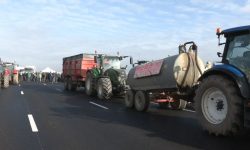 mulher-morre-em-protesto-na-franca