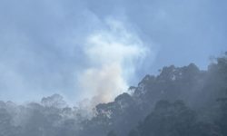 colombia-tem-mais-de-20-incendios-florestais-e-calor-recorde