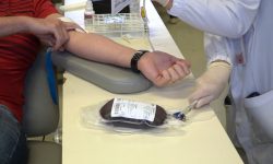 itajai-tera-nova-unidade-do-hemosc-para-coleta-e-distribuicao-de-sangue