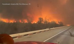 emergencia-ambiental:-texas-diante-de-um-dos-maiores-incendios-florestais-da-historia