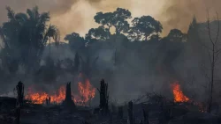 amazonia-tem-pior-fevereiro-de-queimadas-dos-ultimos-25-anos