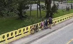 mulher-e-flagrada arremessando-proprio-cachorro-de-ponte-em-sc