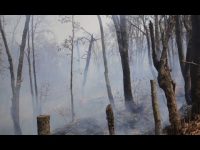 mexico-sofre-com-incendios-florestais