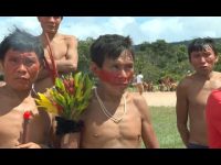 contaminacao-por-mercurio-atinge-yanomami