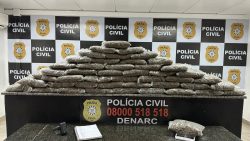 policia-apreende-46-sacos-de-maconha-“camarao”-em-cachoeirinha-(rs)