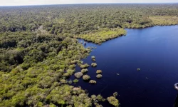 criacao-do-museu-das-amazonias-e-lancada-em-belem