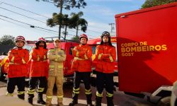 bombeiros-do-pr-vao-ajudar-no-combate-a-incendios-no-pantanal